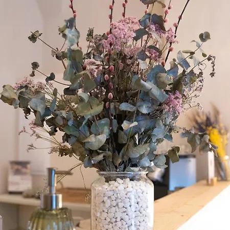 Hotel Marosi Boutique