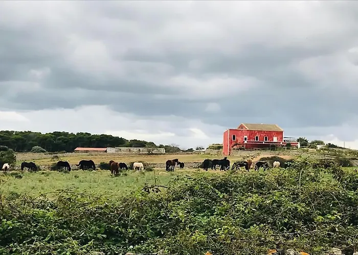 Hotel Marosi Boutique 2*