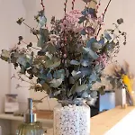 Hotel Marosi Boutique