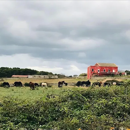 Отель Marosi Boutique 2*