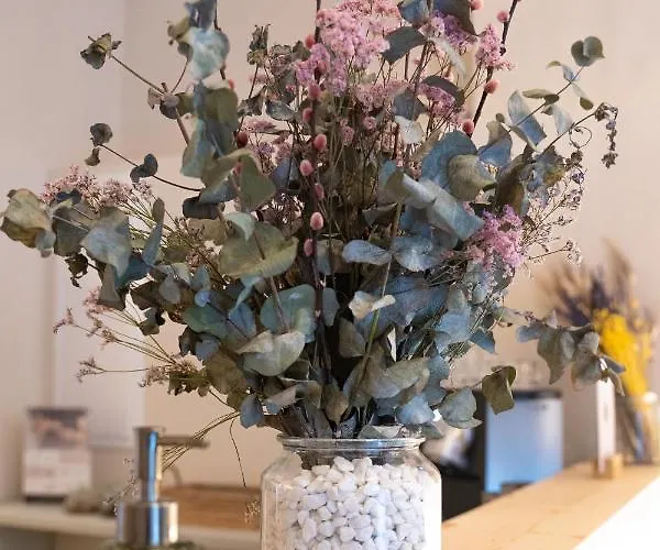 فندق Marosi Boutique