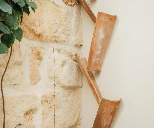 Marosi Boutique فندق ثيوداديلا